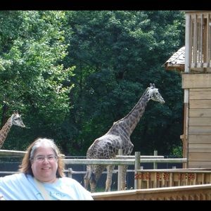 Meet your Posher, Lisa